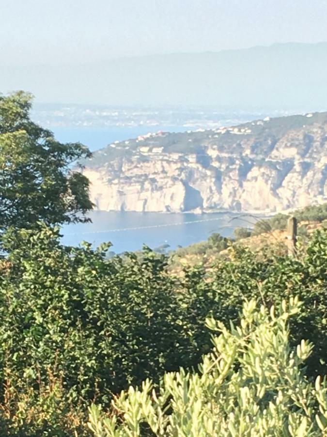 Villa Annabelle SantʼAgata sui Due Golfi Exterior foto